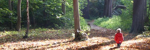 small child standing in the forest