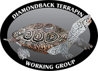Diamondback Terrapin Logo